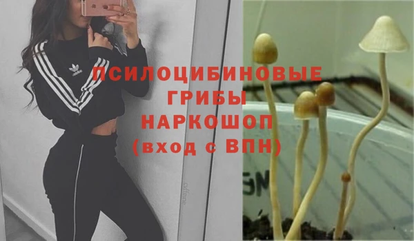 mix Богородицк